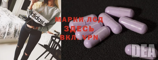 стаф Снежинск