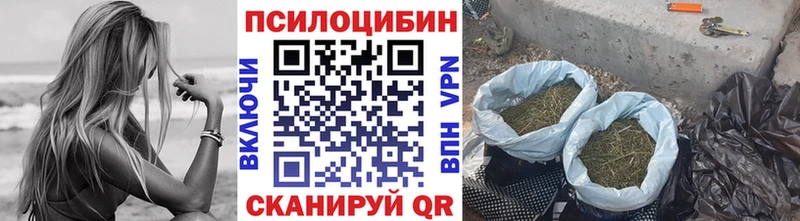 Псилоцибиновые грибы Psilocybine cubensis  цена наркотик  Воткинск 